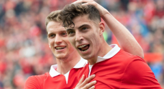 捕鱼游戏出分规律:哈弗茨和药厂间有君子协议